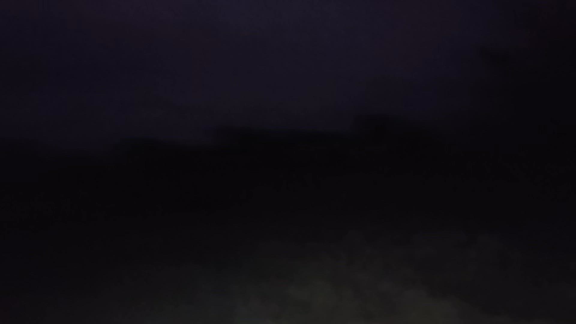 Wetseason Build Up Boar