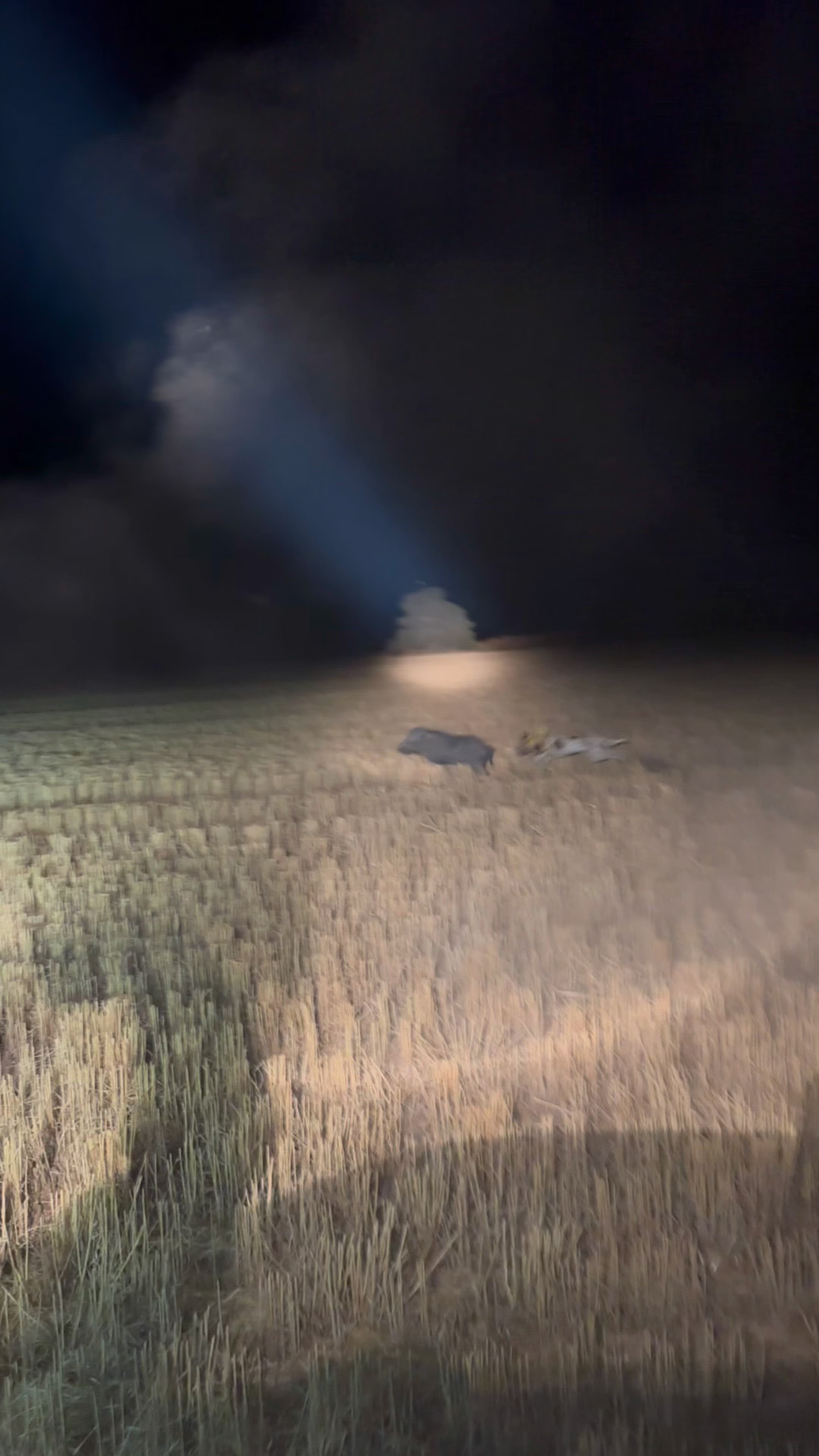 love it when they stop and fight