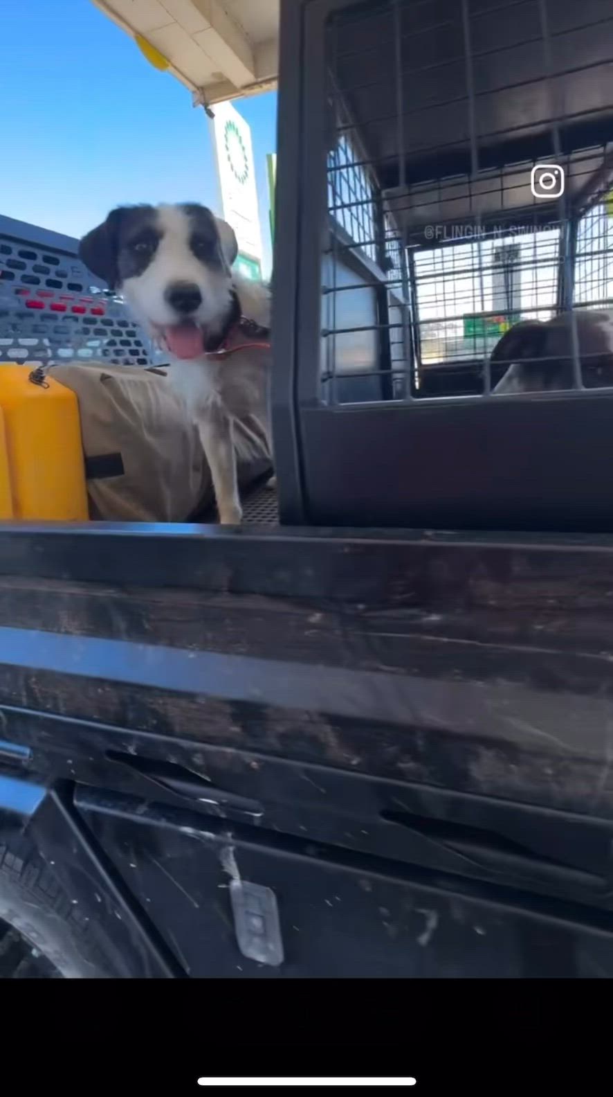 first 2026 boar trip