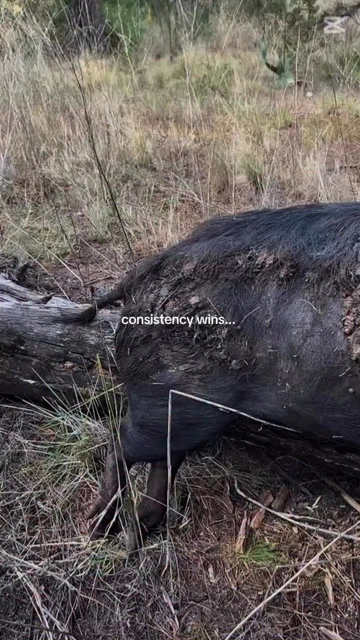 couples that hunt together stay together