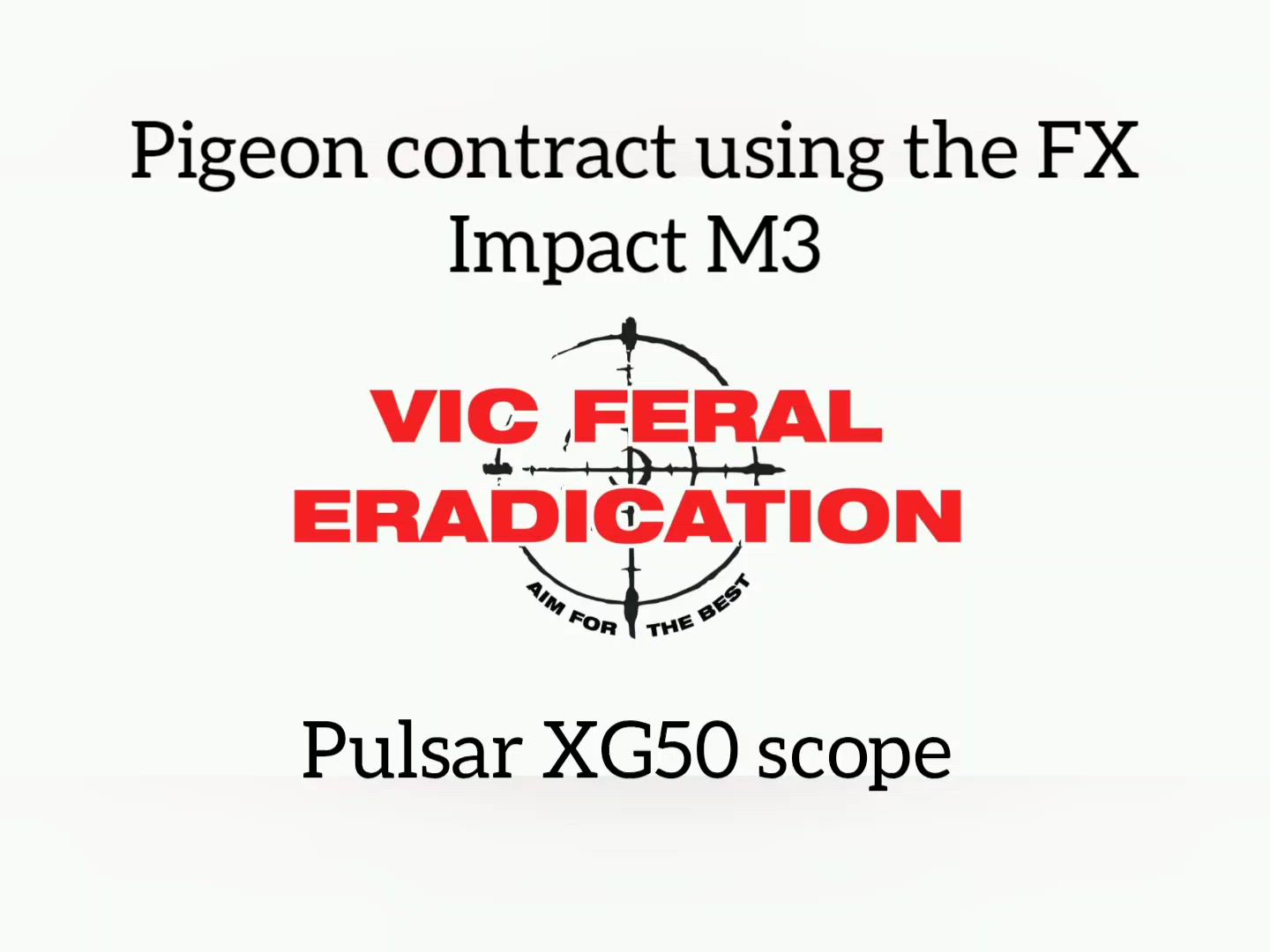 Pigeon job