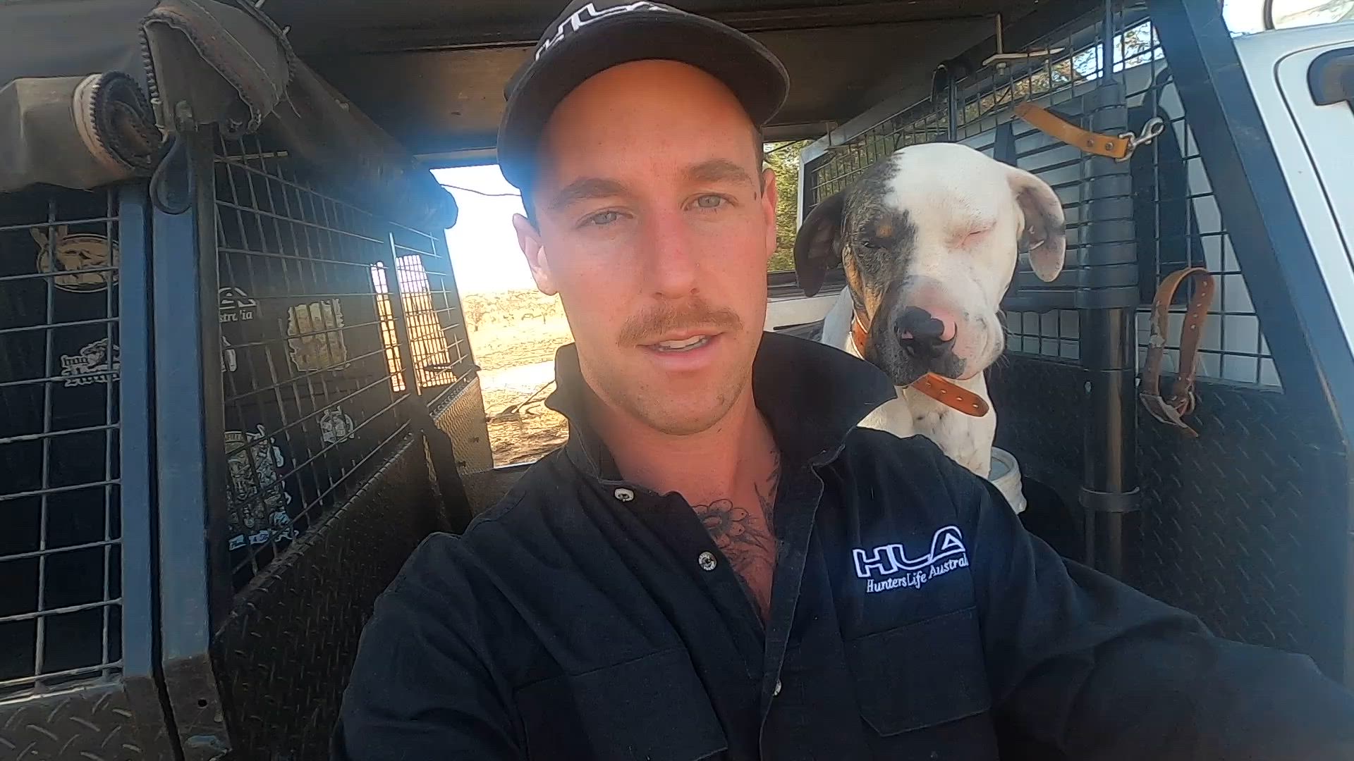 Hunting “WILD BOARS” ft Catahoula leopard dogs