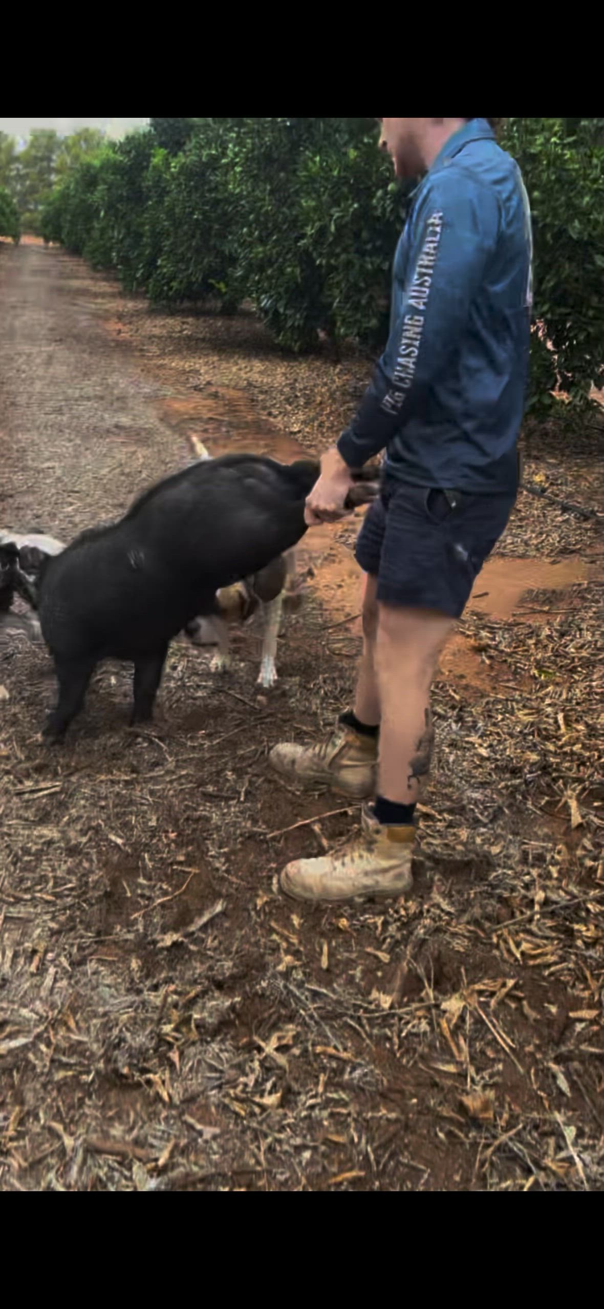 good morning run plus a couple extras