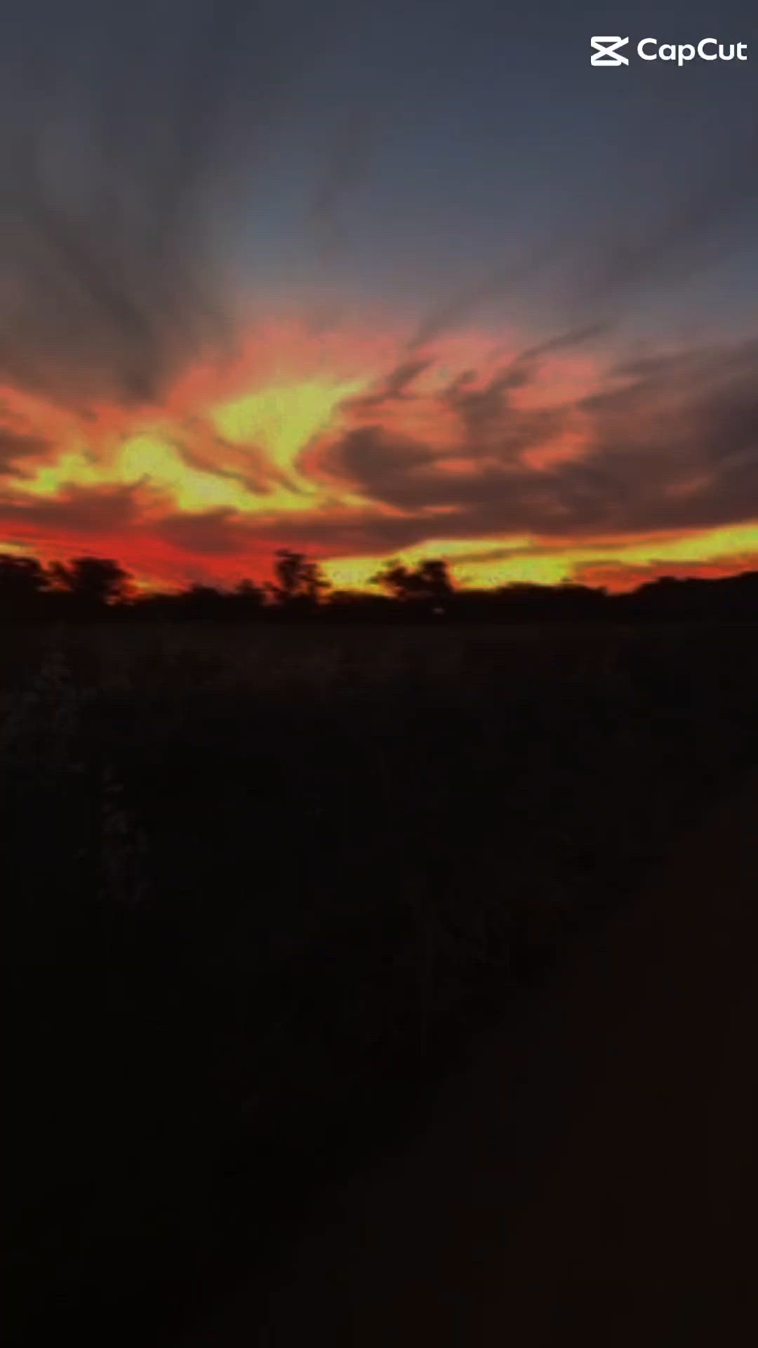 #sunset #piggin