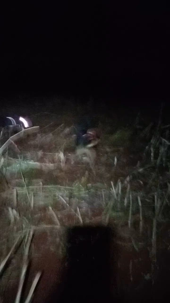 good boar from miss Lila