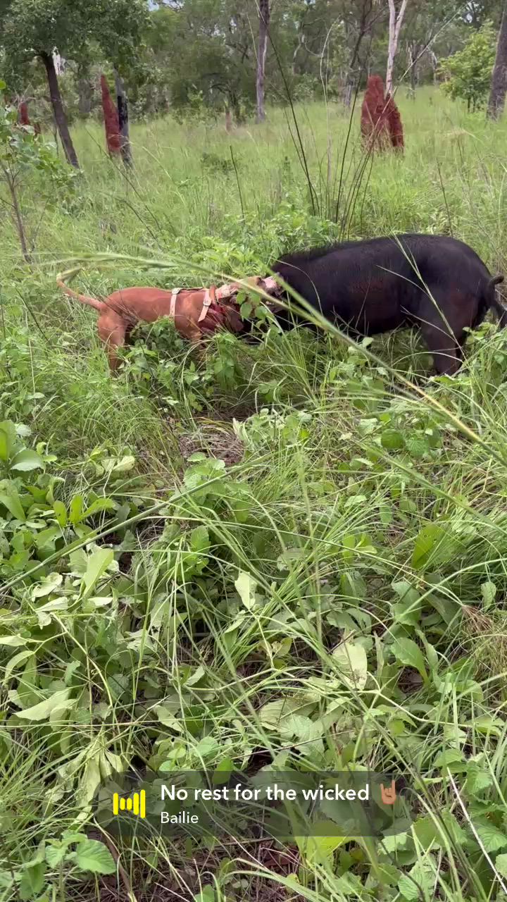 wish I had scales for this one