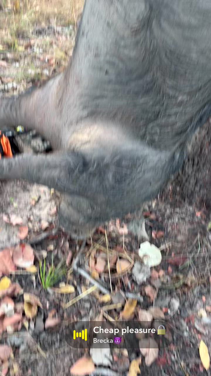 good boar