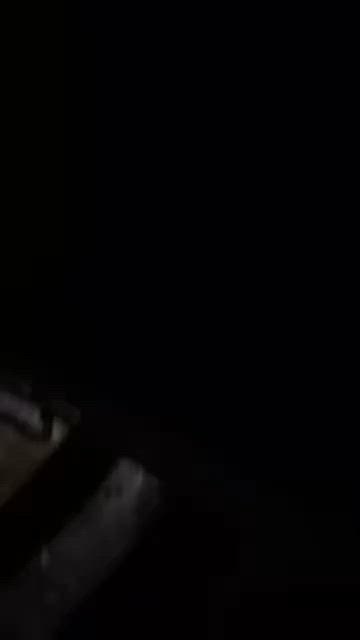 introduction to the team