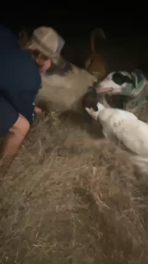 cracker boar for the night