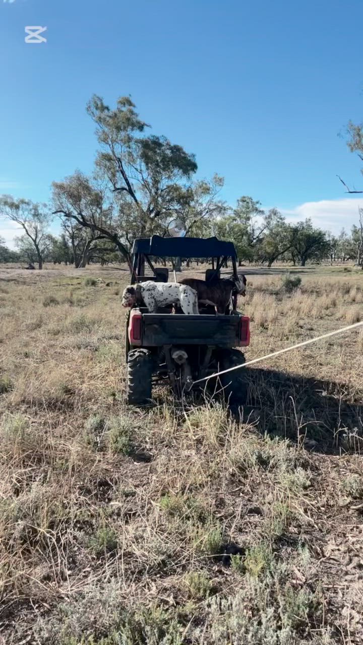 few to start the year off