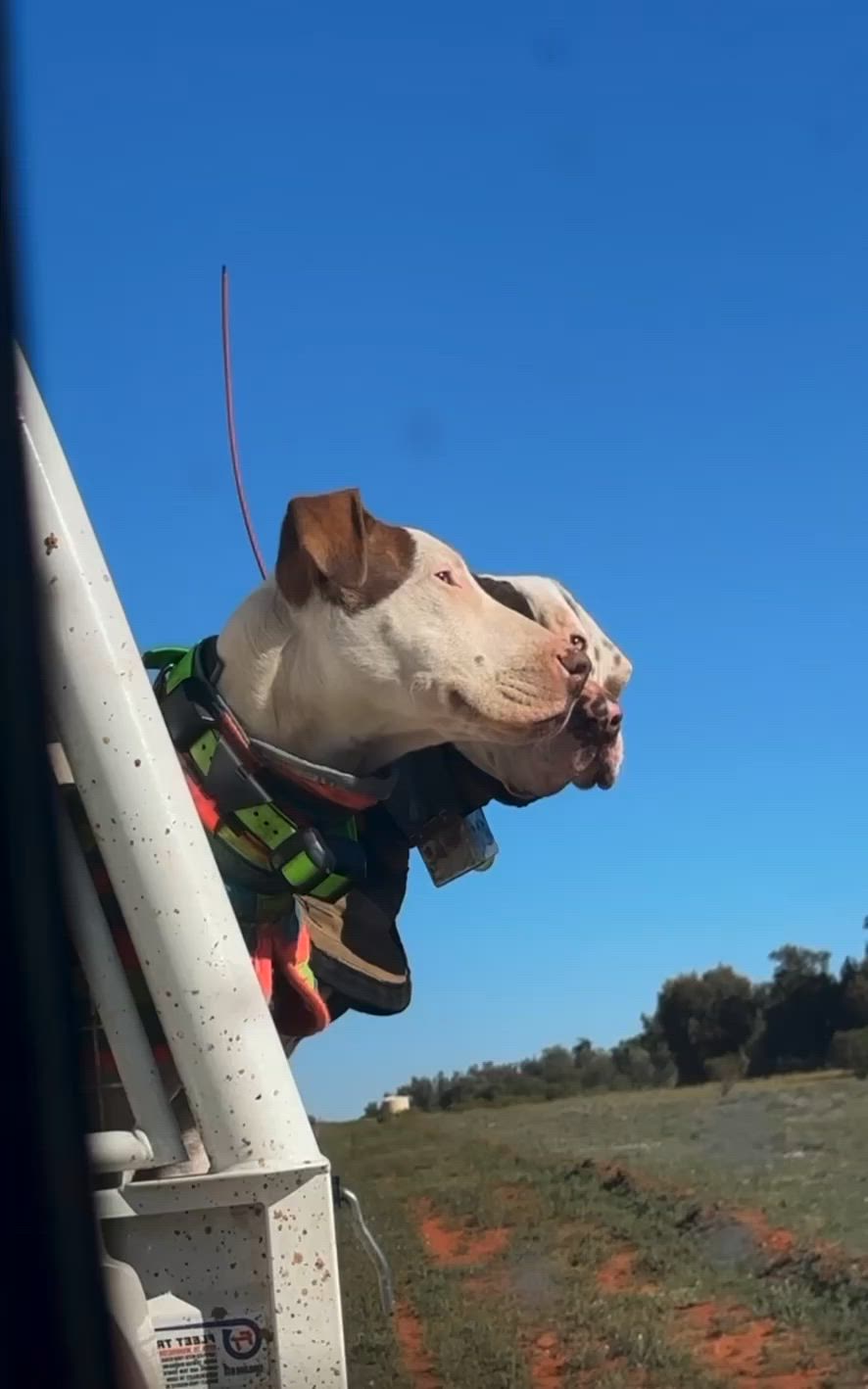max.