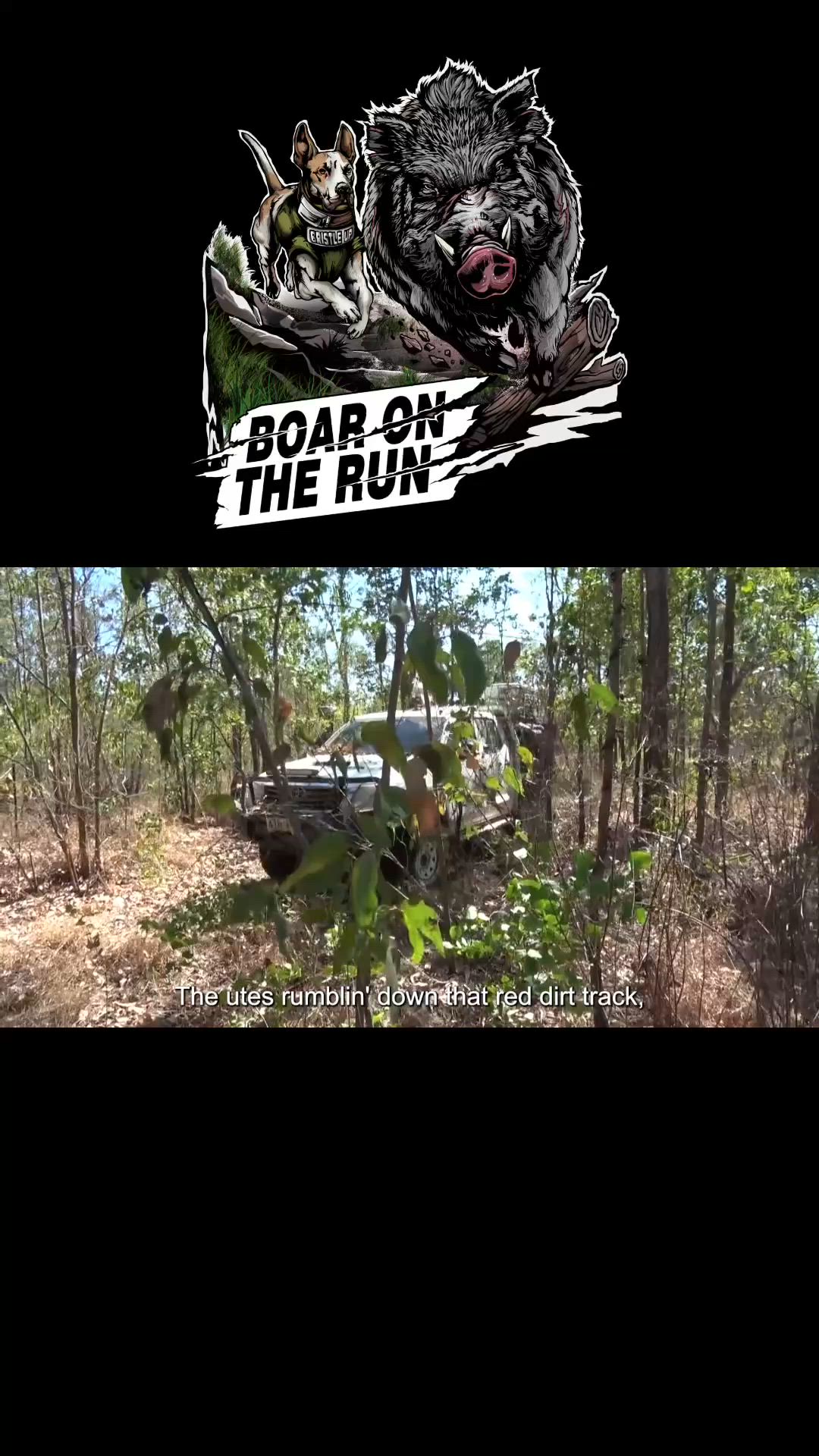 Boar on the run music video
