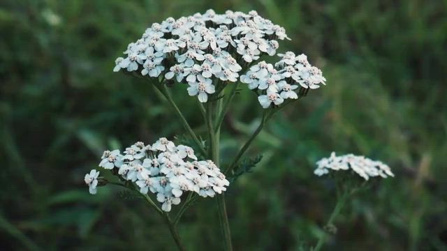 test post