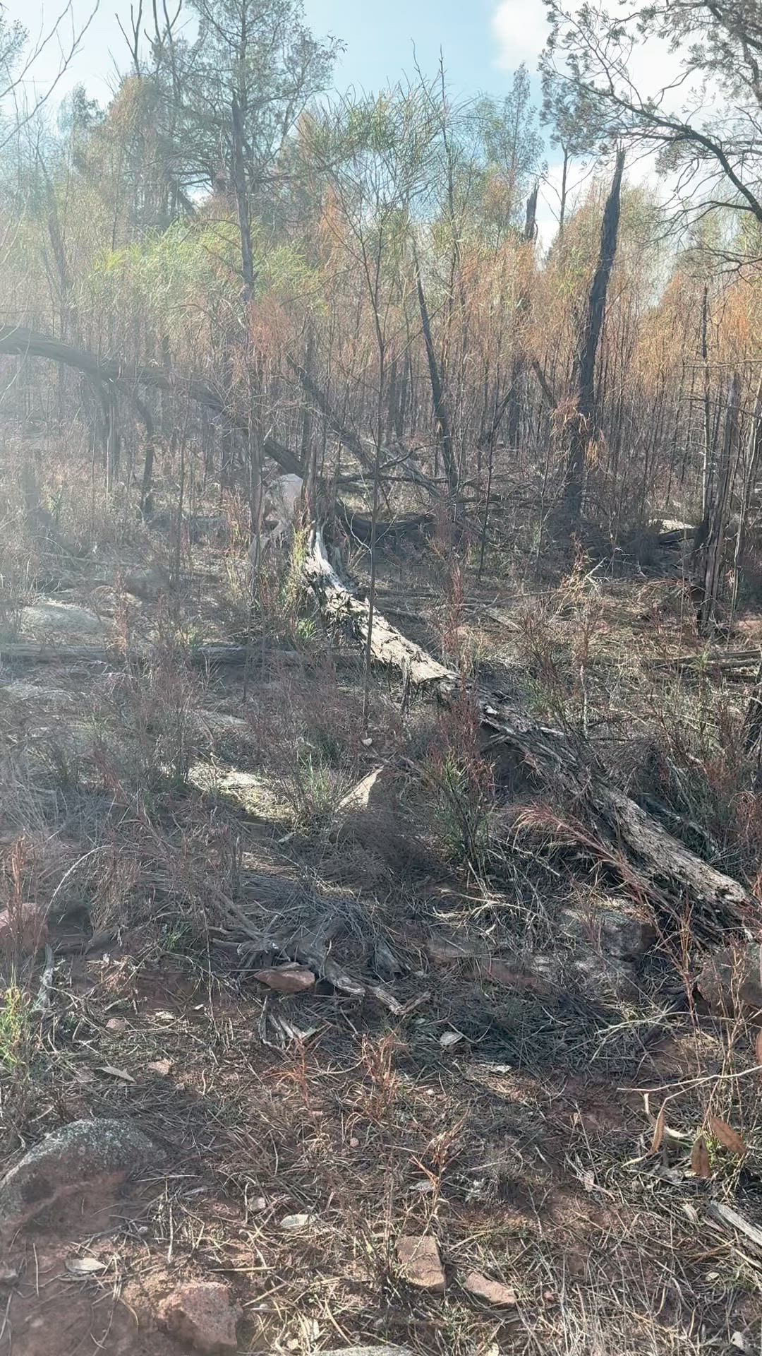 good way to spend the Easter long weekend