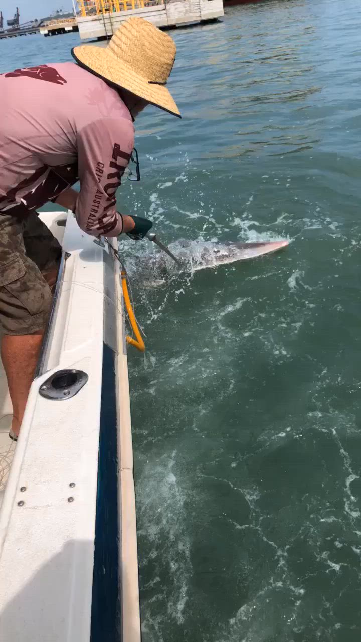 big ray