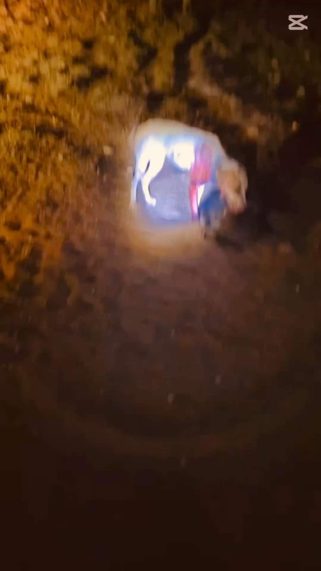 SWINE TIME