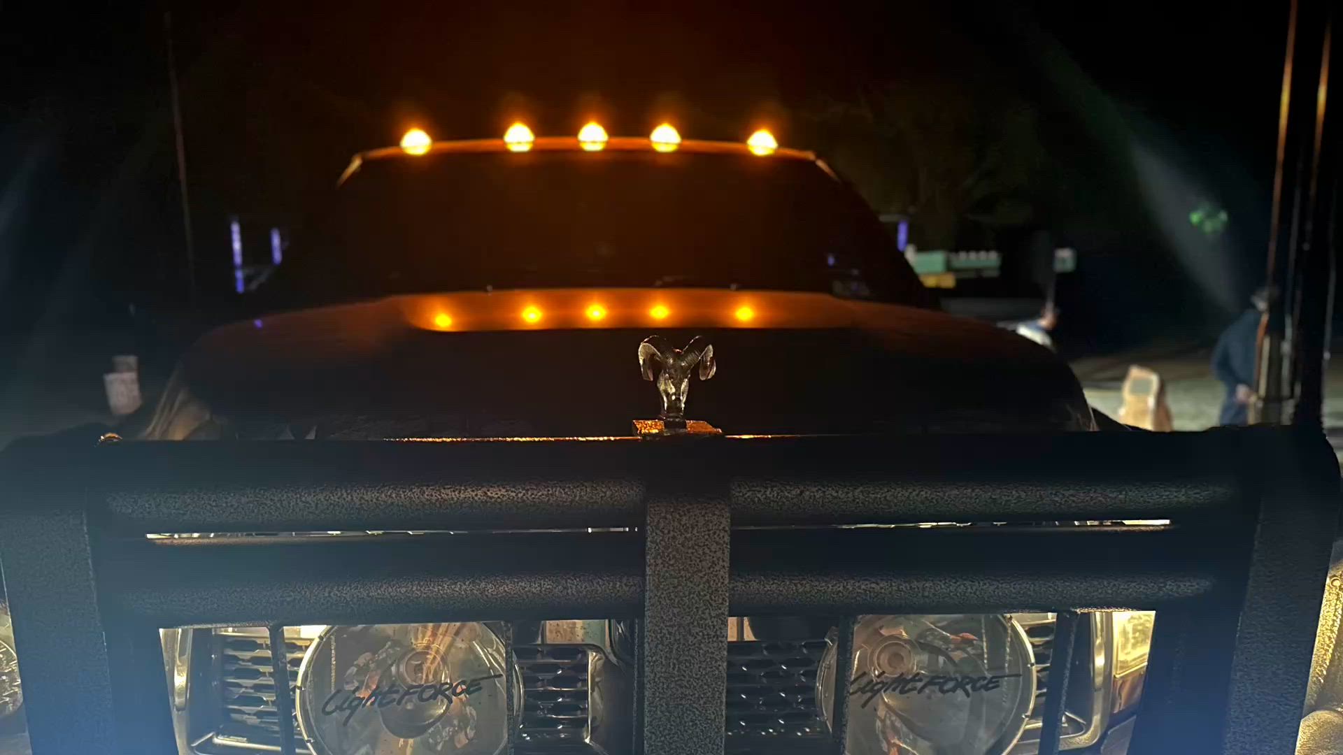 Deadly Boar 3 over 100kg Part 1