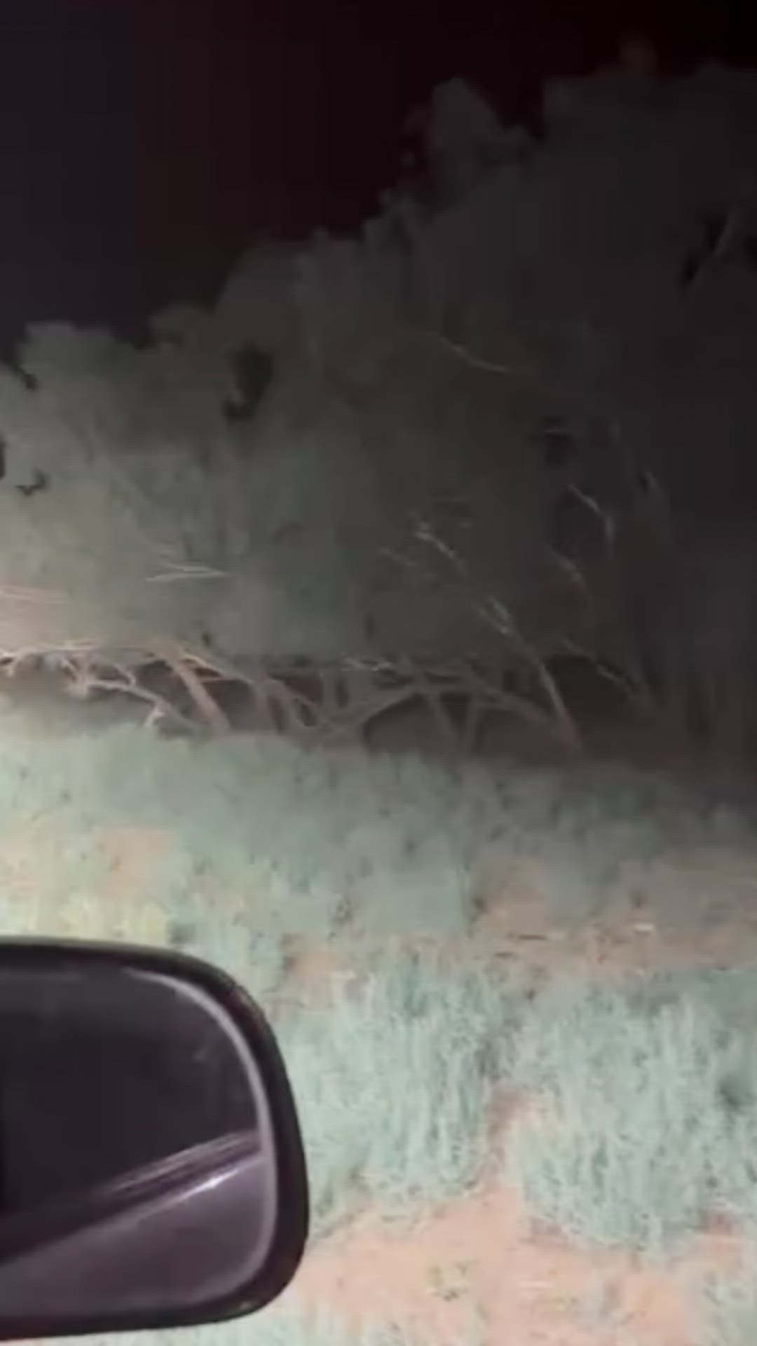 “Body” by Don Tolliver