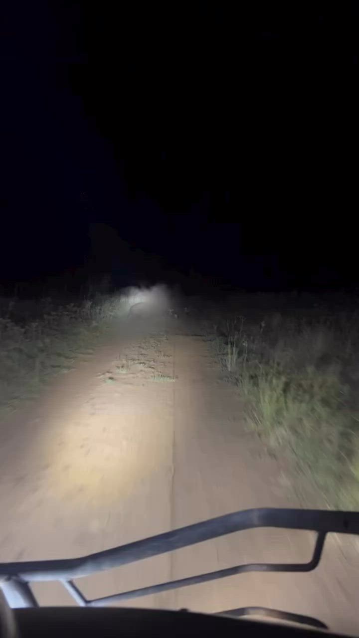 Thursday night shenanigans