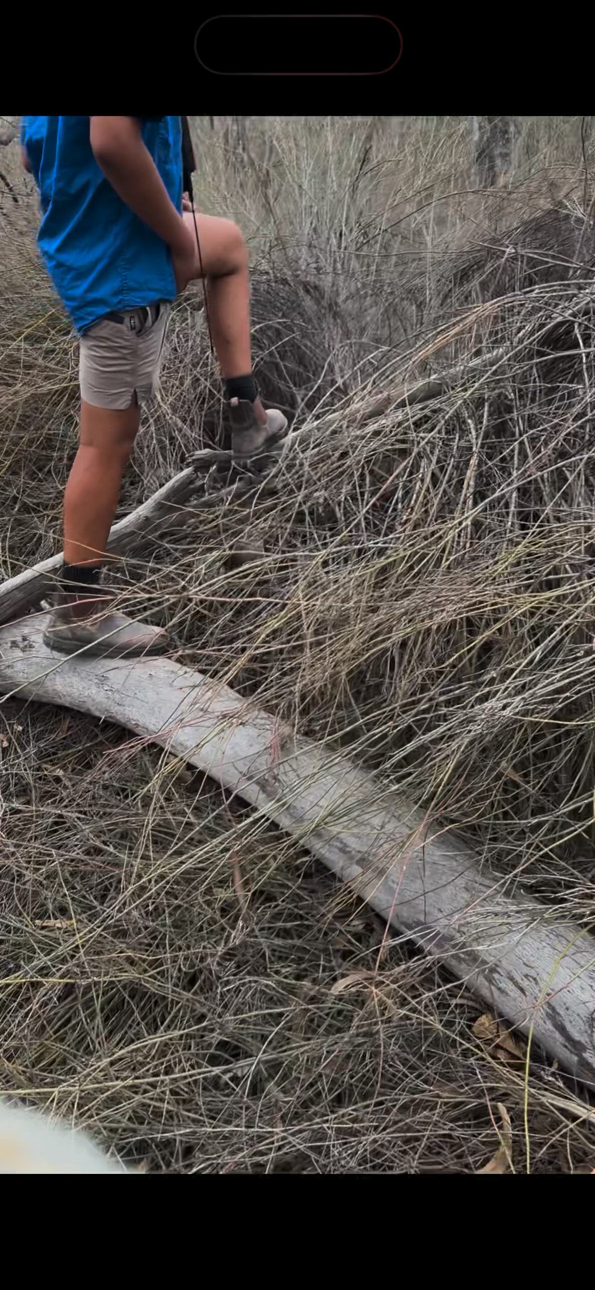 love it when you find them in bed