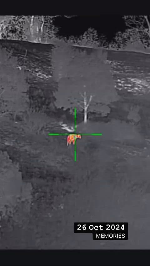 a few older thermal clips