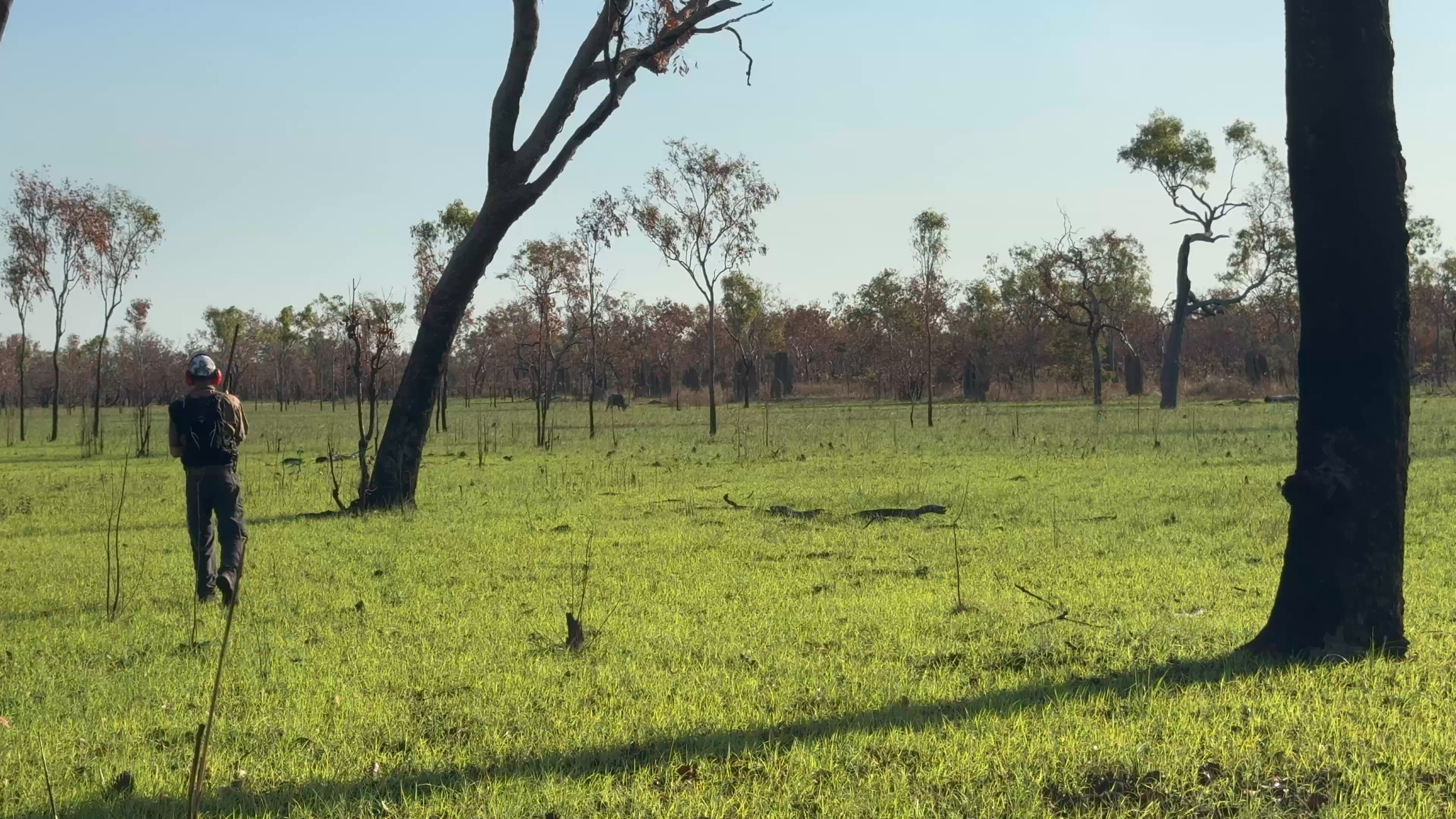 Buffalo Hunting - Back Country Hunting NT