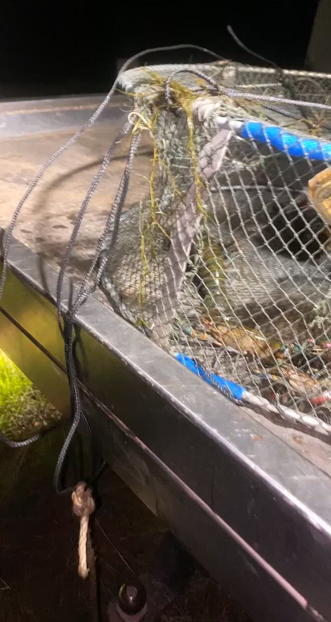good feed