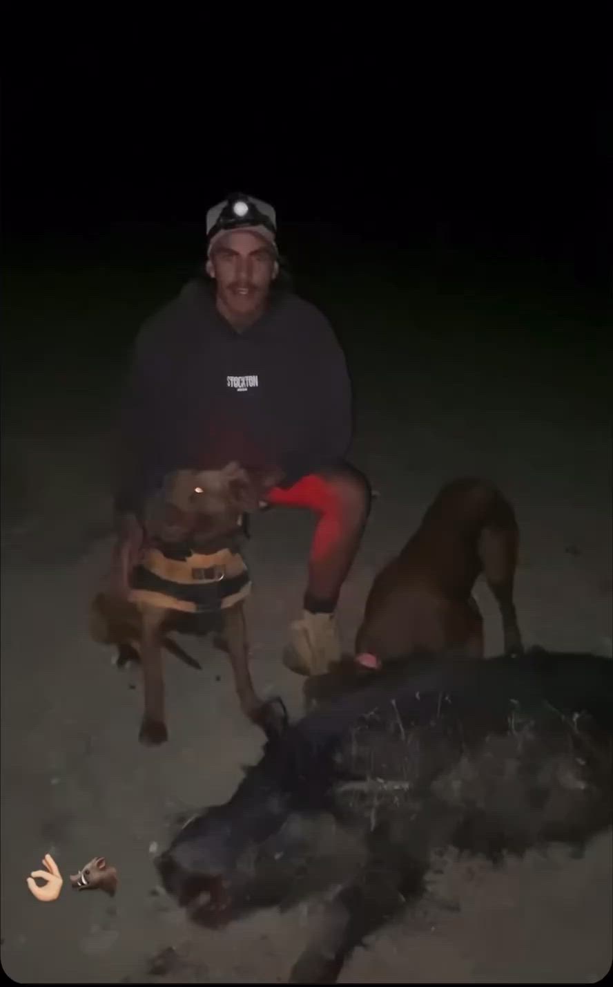 good pig last night