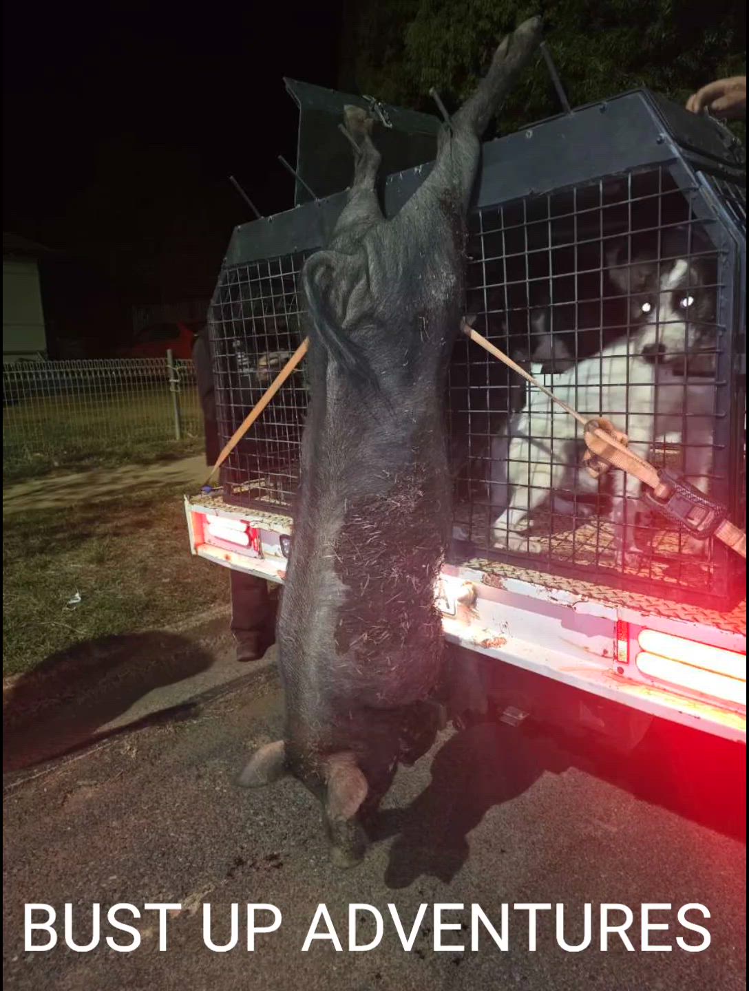 1st one in a long time