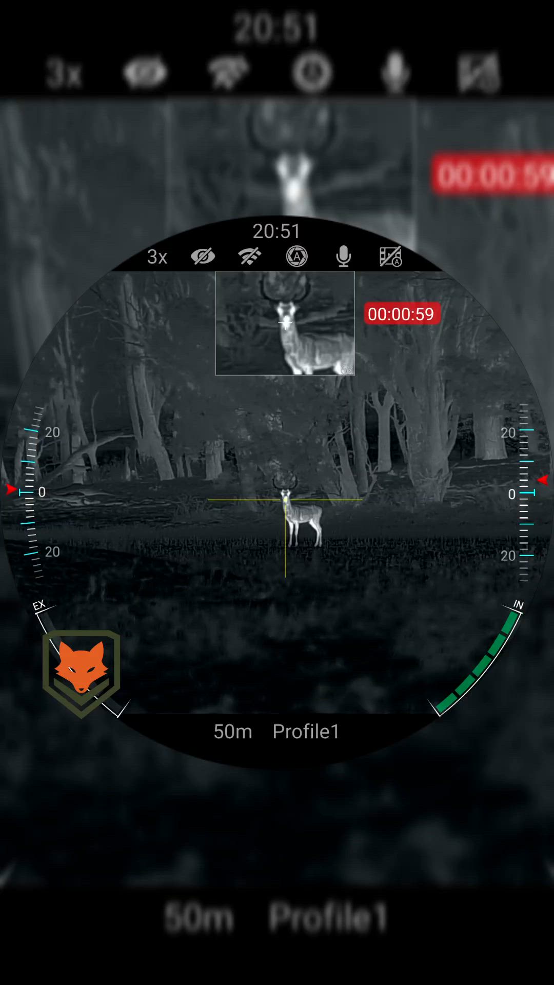 Post 2025 Fallow Deer Rut