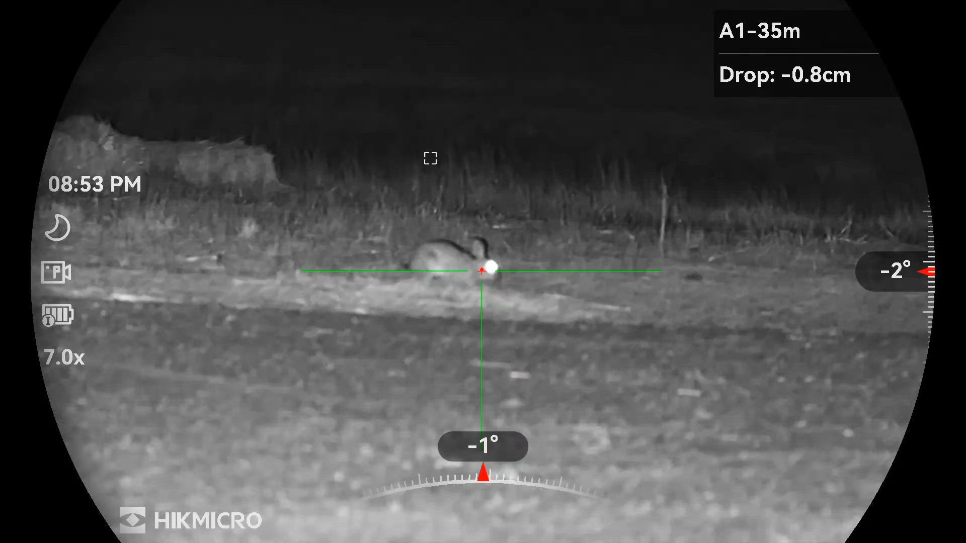 Rabbit Cull Western Australia