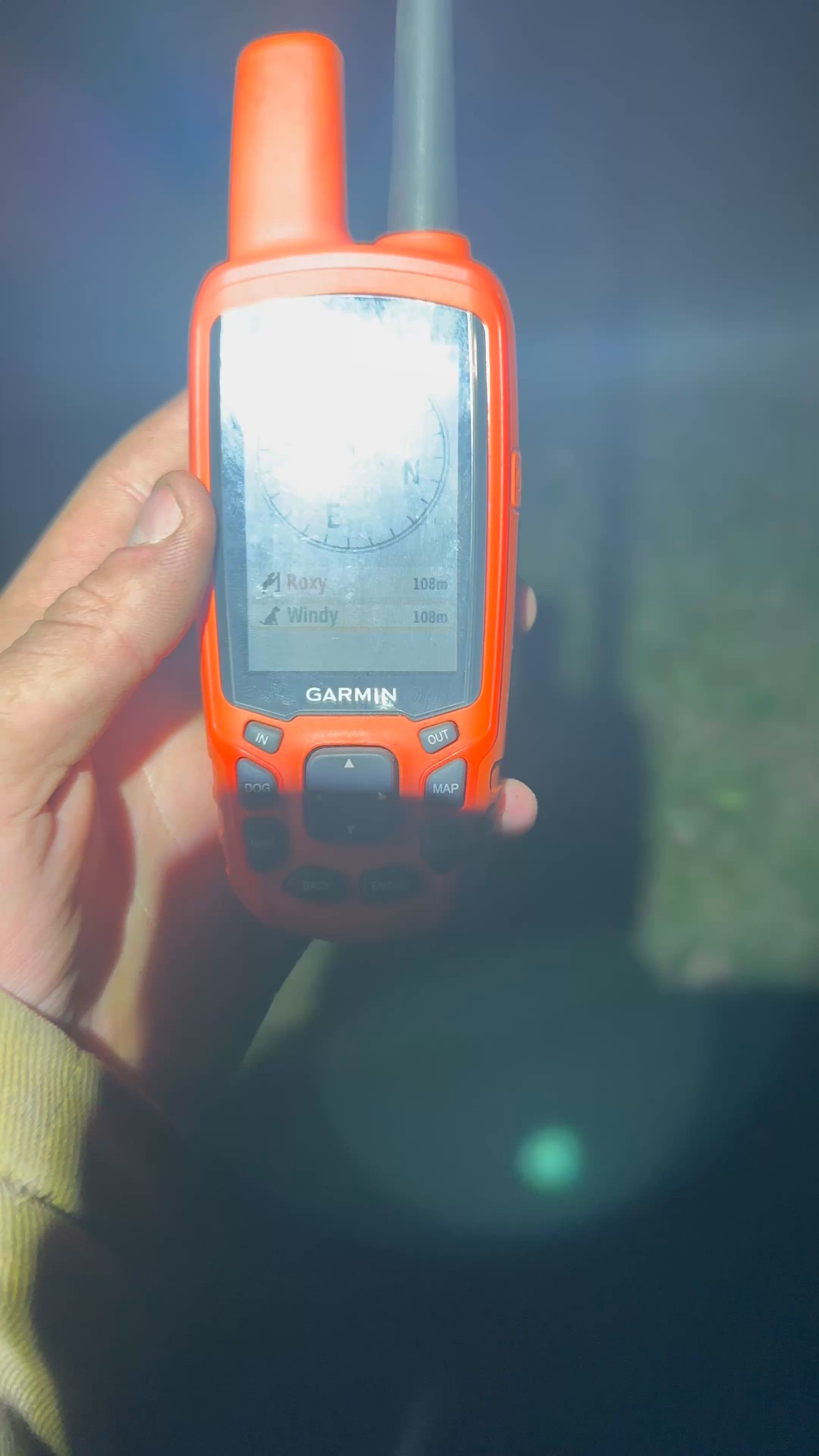 dogs went 280 for this lil sow