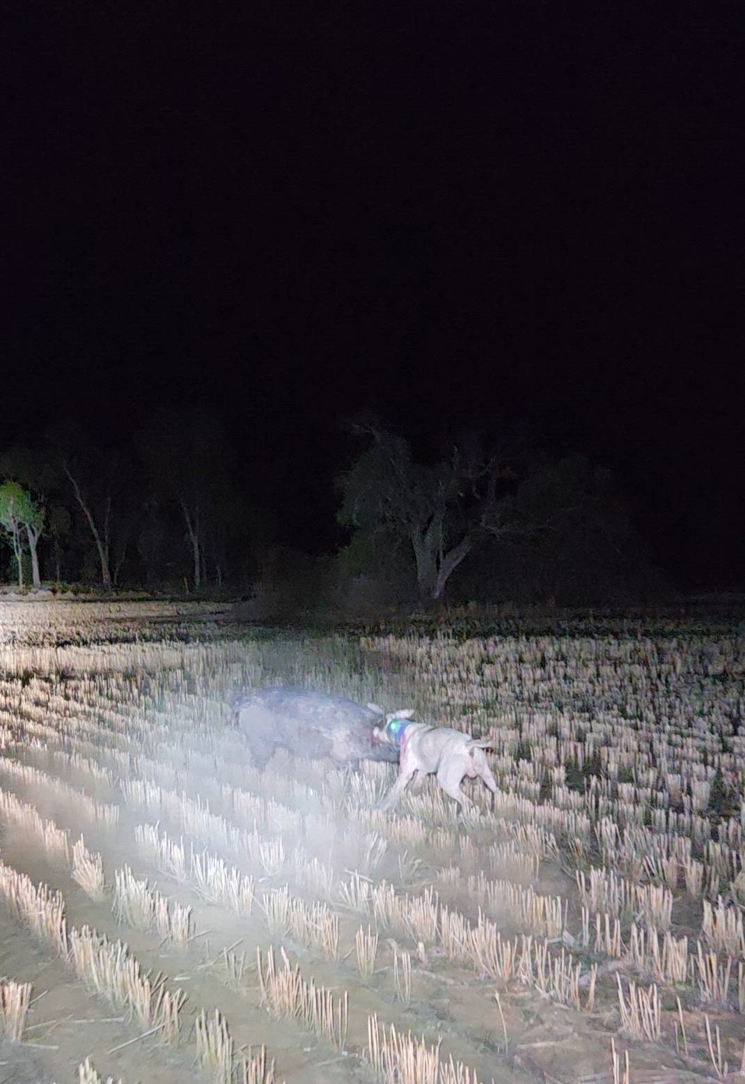 Big fella punching on 👊🏽