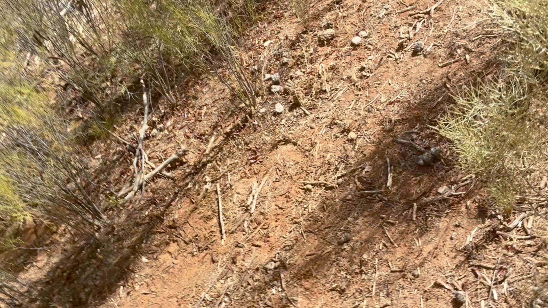 skinny fellas out here at the moment