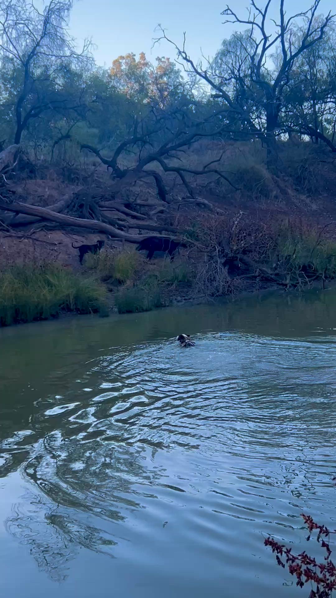 river monster